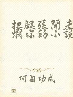 把腿张开老子臊烂你的小说