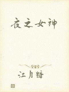 夜之女神封面