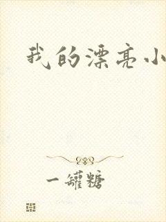 我的漂亮小后妈封面