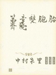 第章双胞胎姐妹齐飞