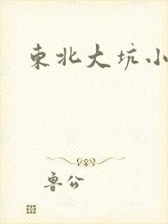 东北大坑小说