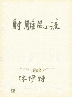 射雕风流
