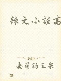 辣文小说高h封面