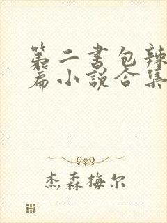 第二书包辣网短篇小说合集