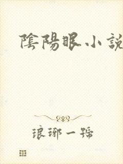 阴阳眼小说