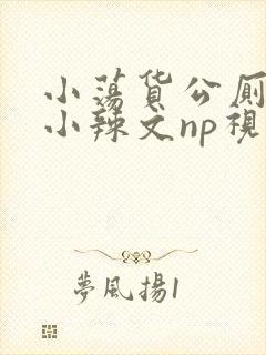 小荡货公厕h文小辣文np视频