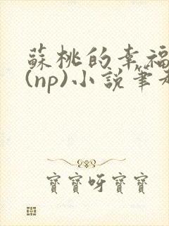 苏桃的幸福生活(np)小说笔趣阁沐沐