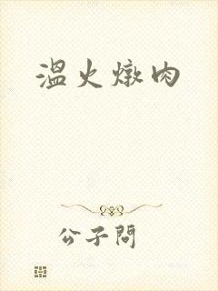 温火炖肉封面