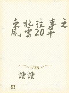 东北往事之黑道风云20年封面