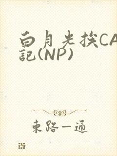 白月光挨CAO记(NP)封面