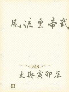 风流皇帝武则天封面