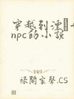 穿越到湮婸世界npc的小说