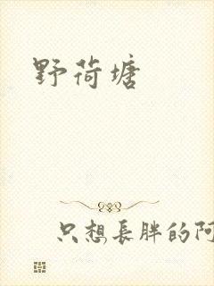 野荷塘封面