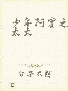 少年阿宾之房东太太封面