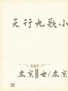 天行九歌小说封面