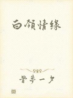 白领情缘