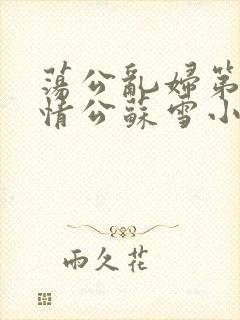 荡公乱妇第1章情公苏雪小说