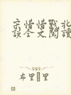 宋惜惜战北望小说全文阅读