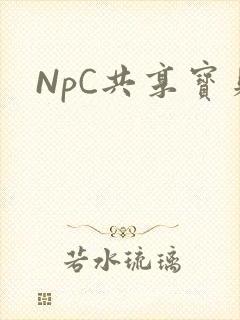 NpC共享宝贝