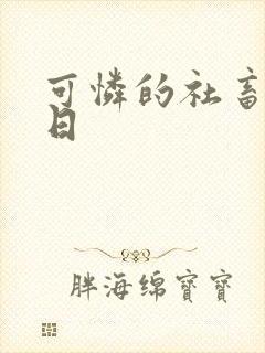 可怜的社畜东度日