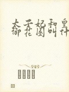 太子妃和皇帝在御花园叫什么小说封面