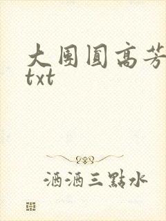 大团圆高芳小说txt