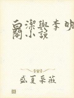 白洁与李明笔趣阁小说