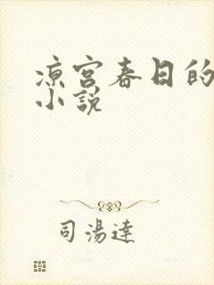 凉宫春日的忧郁小说