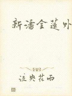 新潘金莲外传封面