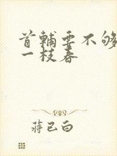 首辅要不够po一枝春封面
