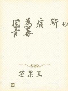 因为痛 所以叫青春