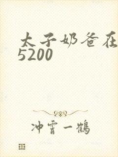 太子奶爸在花都5200封面