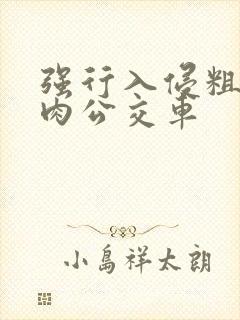 强行入侵粗暴h肉公交车