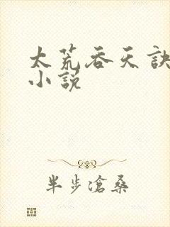 太荒吞天诀免费小说