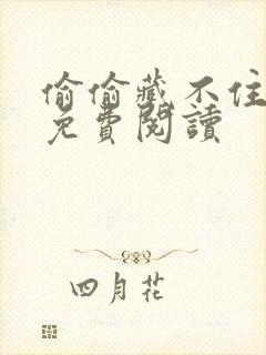 偷偷藏不住小说免费阅读