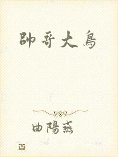 帅哥大鸟
