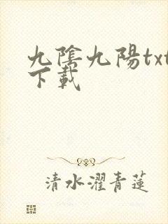 九阴九阳txt下载封面
