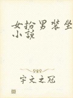 女扮男装坐江山小说