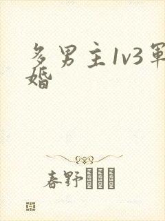 多男主1v3军婚