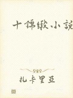 十锦缎小说