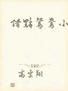 错点鸳鸯小说