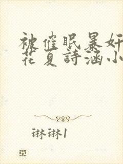 被催眠暴奸的校花夏诗涵小说