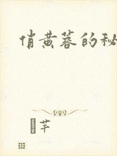 俏黄蓉的秘密封面