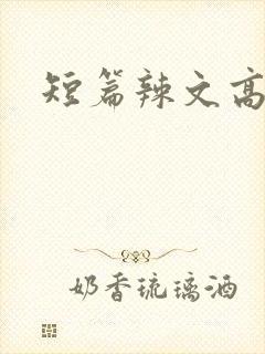 短篇辣文高h封面