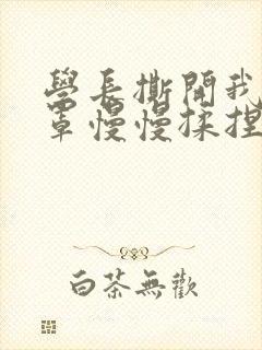 学长撕开我的乳罩慢慢揉捏小说