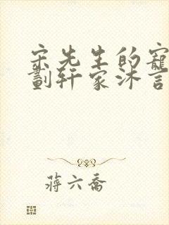 宋先生的宠妻计划轩家沐言封面