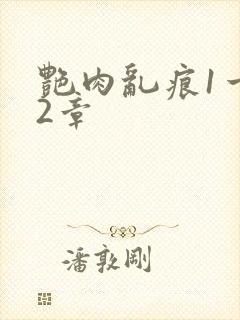 艳肉乱痕1一12章