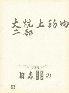 大炕上的肉伦第二部封面