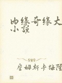 内缘奇缘大团圆小说