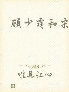 顾少霆和宋斯曼封面